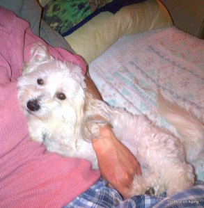 IMG-20140326-00592_1395878705527_n-3