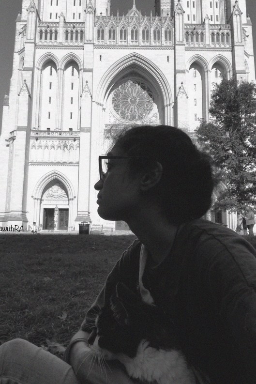 Why is my Relationship with my 17 year old Cat, Marmalade, so important?