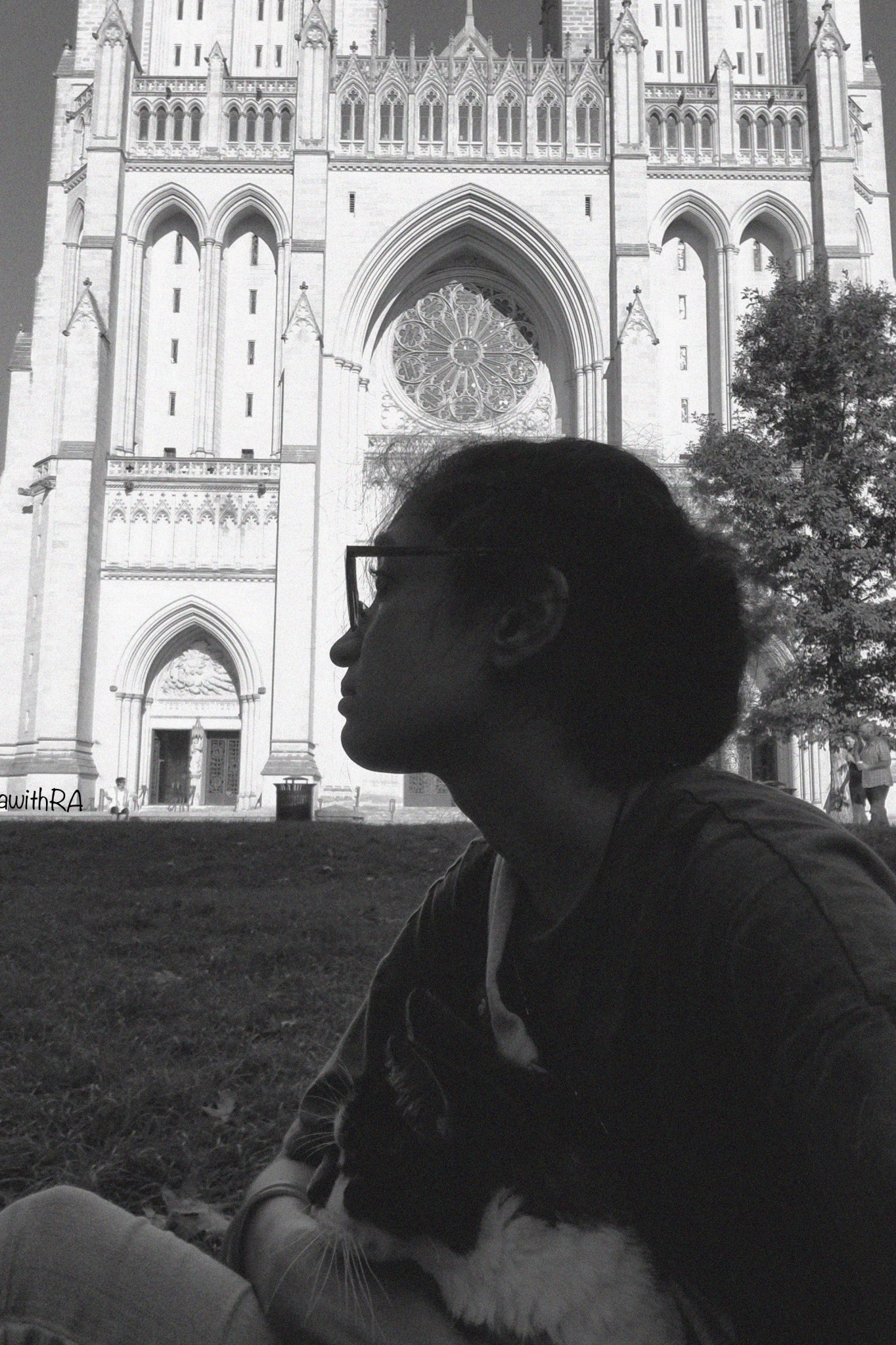 Why is my Relationship with my 17 year old Cat, Marmalade, so important?