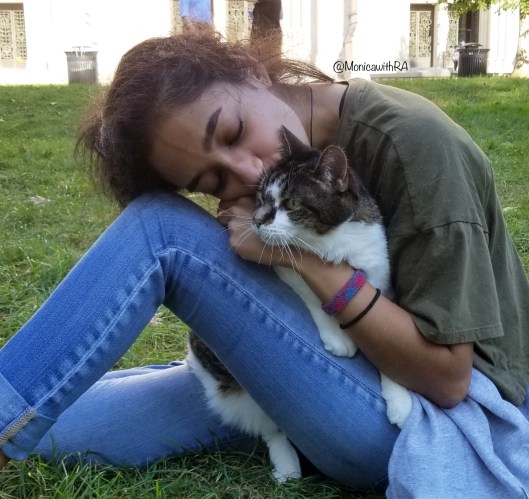 Why is my Relationship with my 17 year old Cat, Marmalade, so important?