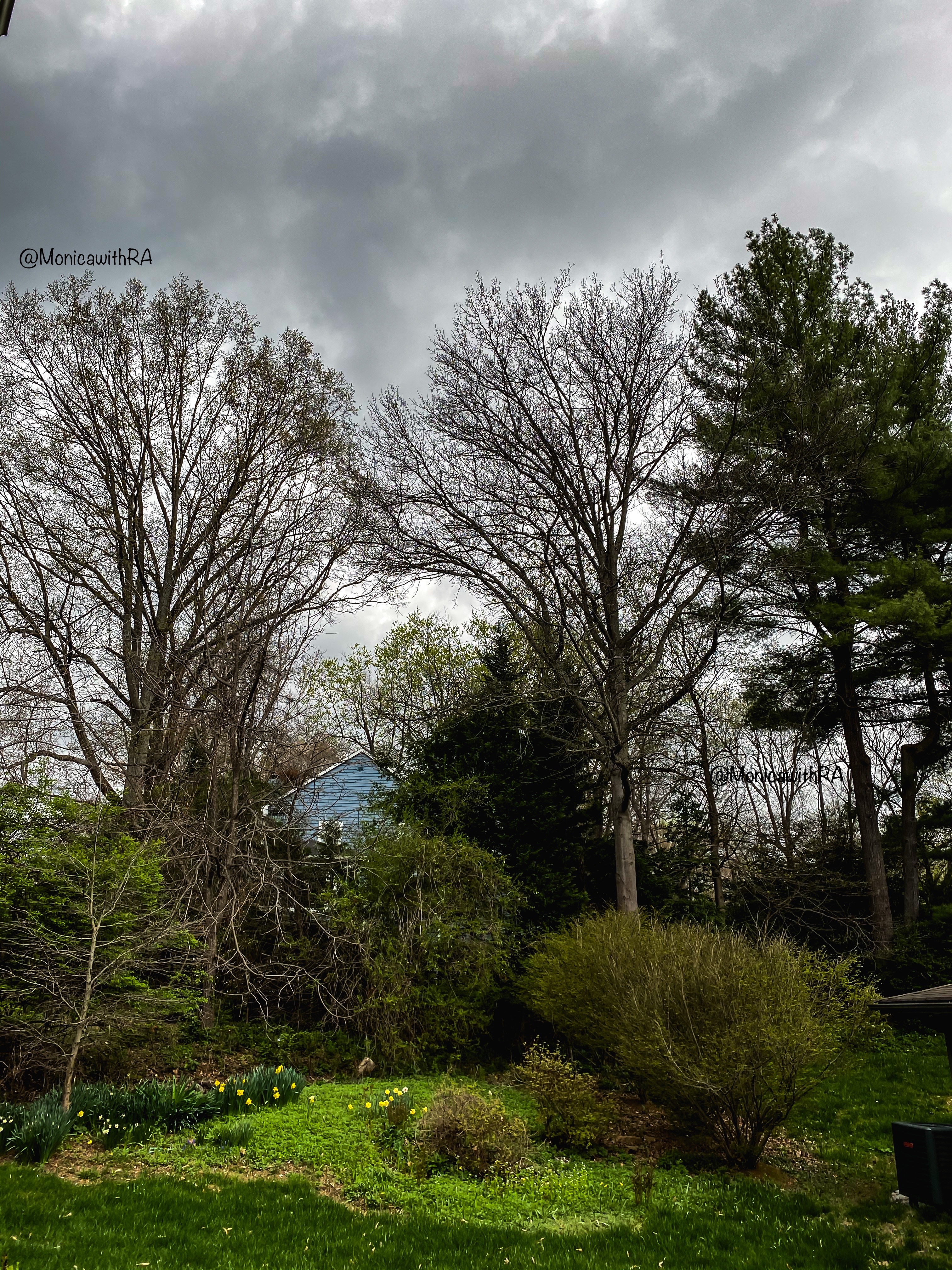 Washington DC Spring Storm || Monica w/ RA